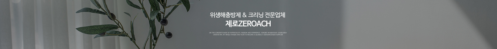 제로취_상단